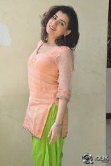 Archana at Anandini Movie Press Meet